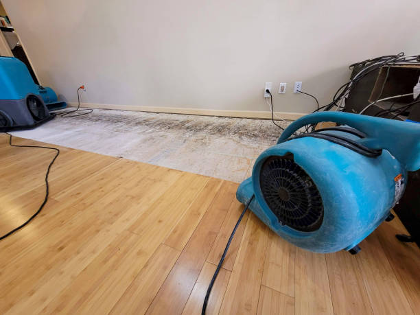 Reliable Basement Flood Cleanup contractor in Laurel, MD by Hirex Water Damage