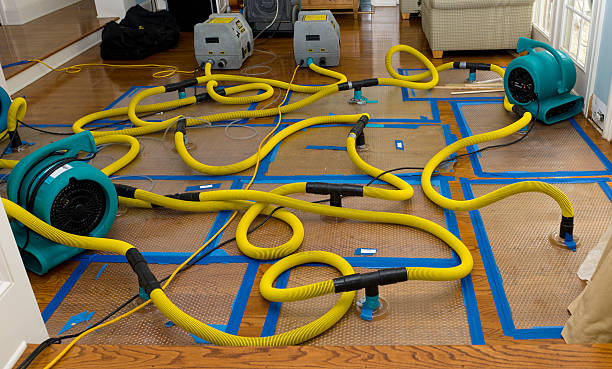 Professional Basement Flood Cleanup technician working in Laurel, MD
